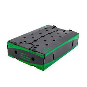 Caja 10lbs Rectangular
