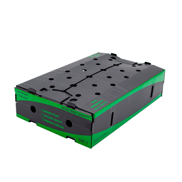Caja 10lbs Rectangular