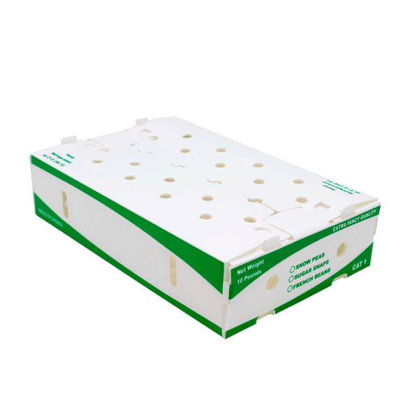 Caja 10lbs Rectangular - Imagen 2